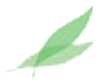 装飾