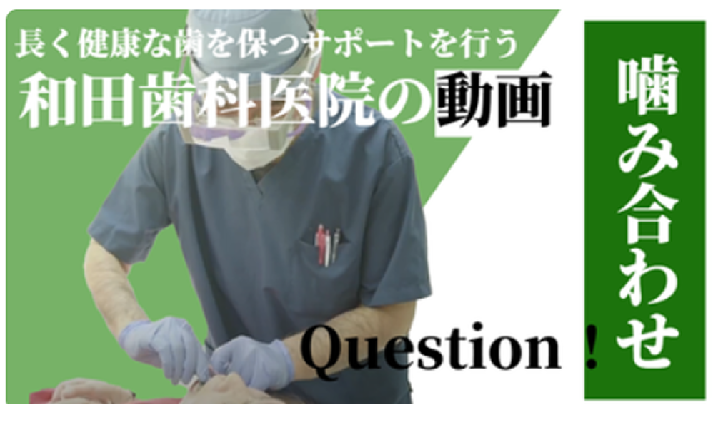動画
