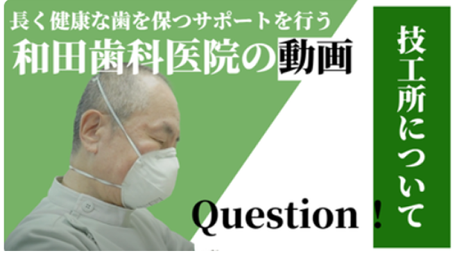 動画